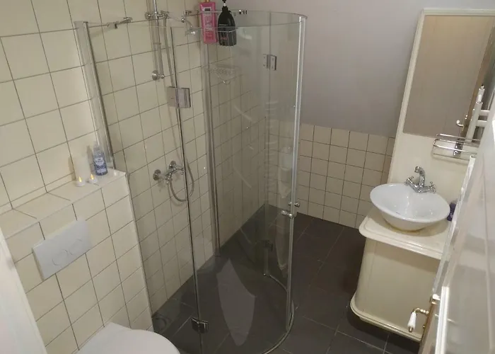 מלון De Hartelust 3*